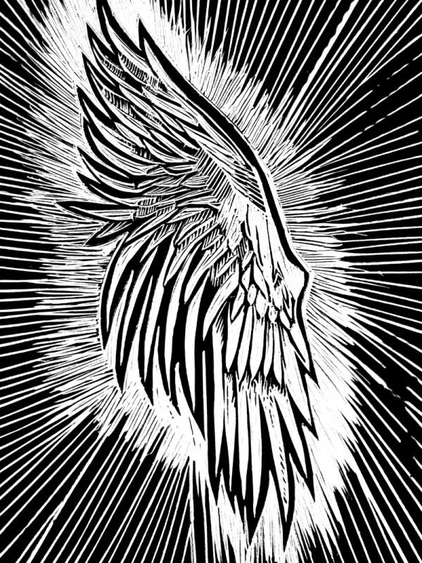 Angel wing Lily Owens