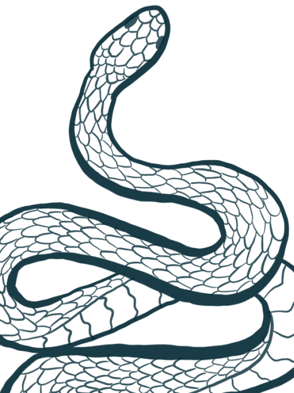 Snake